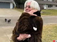 引っ越しの途中で行方不明になった猫、SNSの見知らぬ人たちの協力で奇跡の再会