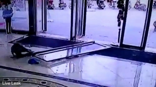 少女がガラス扉の下敷きに