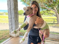 ハワイの山火事で逃げ出し、大やけどを負った犬。無事飼い主と再会