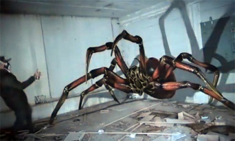 飛び出す蜘蛛！今にも部屋の中を歩き回りそうな巨大なクモの3Dグラフィティアート