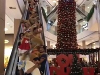 エスカレーターが犬ざんまい。ブラジルのショッピングモールで「犬連れ込みOK」の日