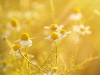 黒木奈々、32歳の死に「早すぎる・・・」と悼む声