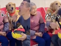 それはおばあさんのやろがい！フルーツを横取りした孫に制裁を与えるゴールデンレトリバー