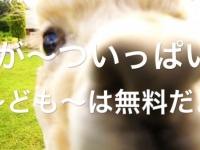 ブルーメの丘のプレスリリース画像