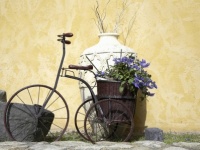 男の願望！　自転車のサドルになった時に、座ってほしい女性芸能人は？