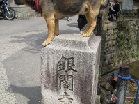 銀閣寺公(veroyamaさん撮影,Flickrより)