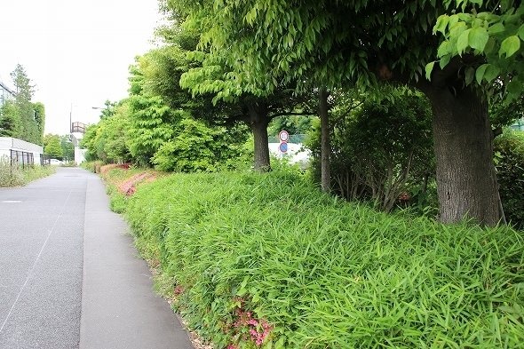 town20170525184247.jpg