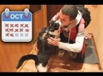 【実験】久しぶりに飼い主に会った猫の反応は？