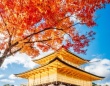 「何もかもがハマった見事な写真」「圧巻です」　タイミング完璧な〝紅葉の金閣寺〟に3万人感動