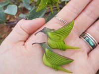 緑色のハチドリかな。と思ったら植物だった！ハチドリそっくりに見えるオーストラリアの花「グリーン・フラワーバード」