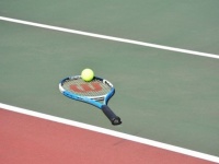 心に響いた錦織圭選手の名言1位「本番のゲームでしか体験できないことがある。そして、それを体験することが自分をより高めることになるんです」