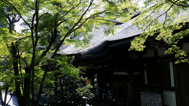 石山寺（PYONKO OMEYAMAさん撮影、flickrより）
