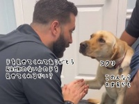 やさしい獣医に心を許したい犬、ようやく痛いほうの足を見せてくれる