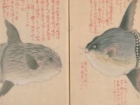 画像はイメージです