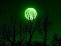 3月の満月「ワームムーン」は3月10日。いつもよりすこし大き目でやってくる。心身を浄化できるチャンス到来！