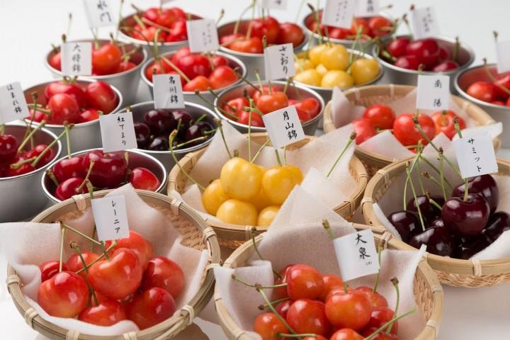 有限会社大橋さくらんぼ園のプレスリリース画像