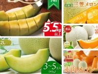 先行予約で甘い幸せゲットしちゃお♪　ふるさとチョイスで人気の【メロン】トップ5