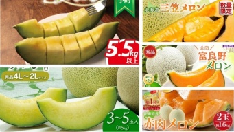 先行予約で甘い幸せゲットしちゃお♪　ふるさとチョイスで人気の【メロン】トップ5