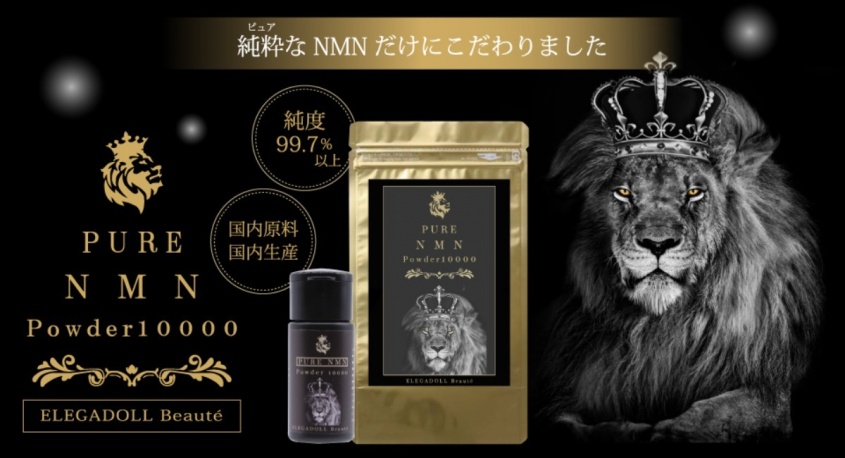 株式会社 CAMELLIA．NET．のプレスリリース画像