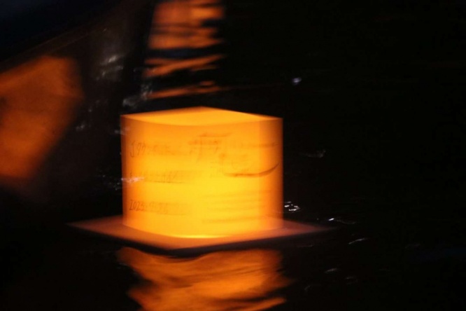 躍動感がありすぎる