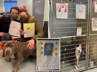 小学2年生が動物支援。施設の犬猫たちをかわいい絵と文章で紹介