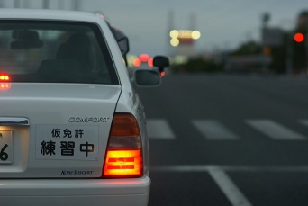 Photo by rok1966, on Flickr