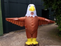 ワシの着ぐるみを着て、カモメを追い払ってくれる人を募集するイギリスの動物園