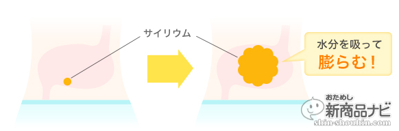 美禅食_サイリウム図版