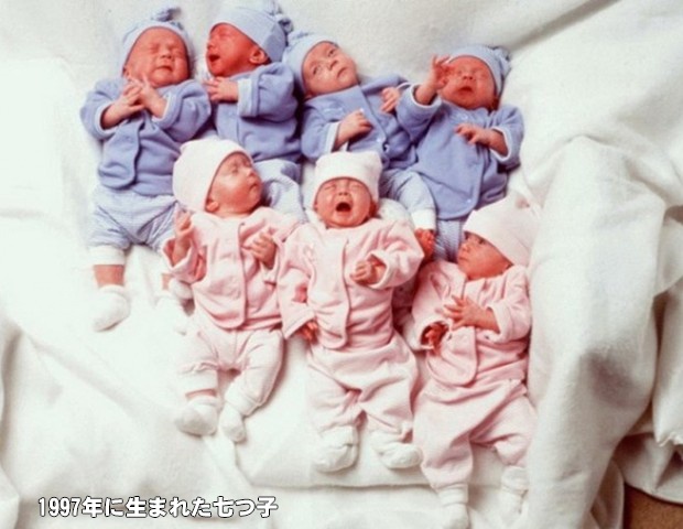 1997年に生まれた七つ子