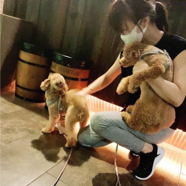 渡辺美奈代、ジム通いを報告も“愛犬同伴”に猛ツッコミ「何しにいく？」