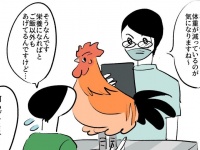 獣医さん「は～～～」　ペットの名古屋コーチンが食べてる〝オヤツ〟に6.9万人羨望「わいより良い物食べてる」