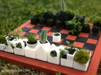 ほっこり系のチェス!? 駒にミニサイズの植物が入った、のどかすぎるチェスセット