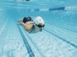 【イルカが体調不良の為、飼育員が代行する】人気の傑作ボケて１５選（9/2）