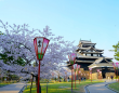 国宝×桜が今だけ重なる——島根・松江城「お城まつり」3月25日開幕