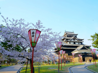 国宝×桜が今だけ重なる——島根・松江城「お城まつり」3月25日開幕