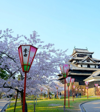 国宝×桜が今だけ重なる——島根・松江城「お城まつり」3月25日開幕