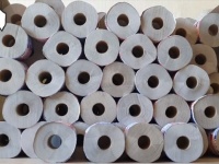 プーシク大コーフン！猫の天国？トイレットペーパーまみれのお部屋を作ってみた