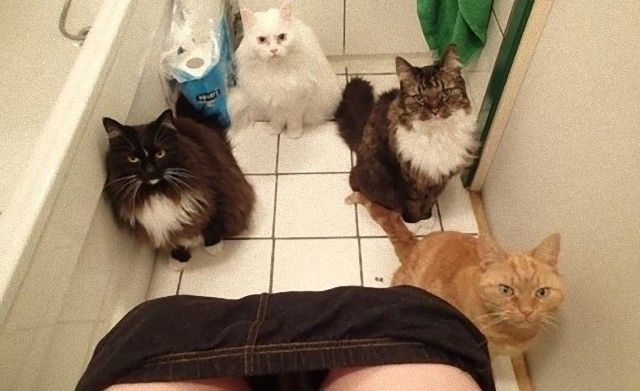 personalspace (10)