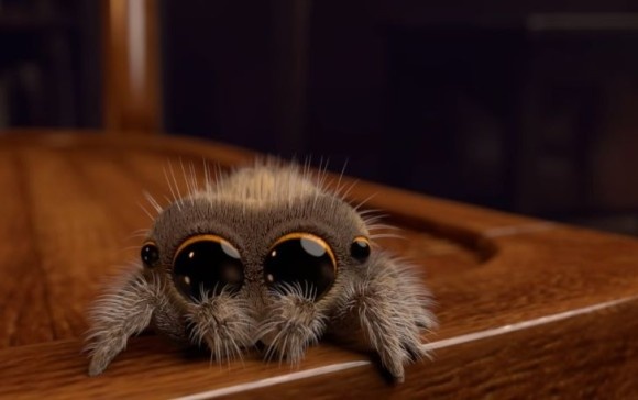 実はクモって調教できる？合図に従ってジャンプするハエトリグモ（英研究）※蜘蛛出演中