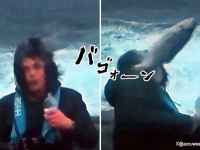 レポーター、アウト！荒れ狂う海の前で中継を行っていた男性に魚が直撃【放送事故】