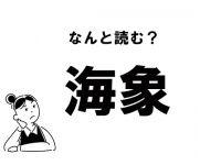 【難読】“うみぞう”ってなに？　「海象」の正しい読み方