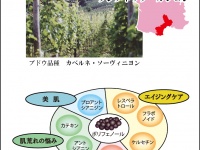 株式会社N・U・Bのプレスリリース画像