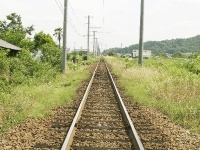 【奇跡】 駅員として9年間も信号操作員を務めたヒヒがいた！