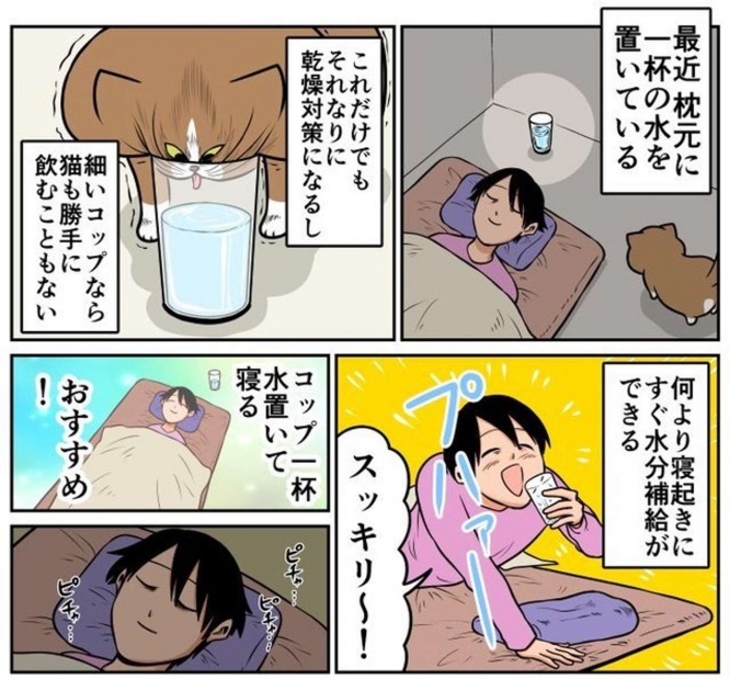 以下画像は鴻池剛（＠TsuyoshiWood）さんのツイートより
