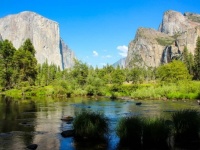 ハイキングで謎の死を遂げた親子3人と犬。有毒藻類と関連性か？