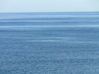 海洋循環にも「パラレルワールド」が存在する　～海洋研究開発機構と東大が存在を指摘
