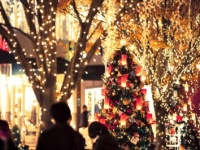 クリスマス目前に本音調査！　彼氏と過ごしたいのは24日？　25日？　結果は大差で……