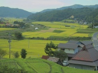 田園風景（mstk eastさん撮影,Flickrより）