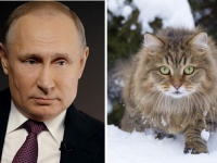 今度は動物たちの番だ。プーチン大統領が動物用のワクチンの開発を発表、今年秋には完成予定（ロシア）