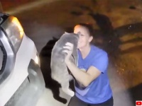 パトカーに止められラッキー。車のエンジンルームから行方不明だった猫を発見！警察官が救出